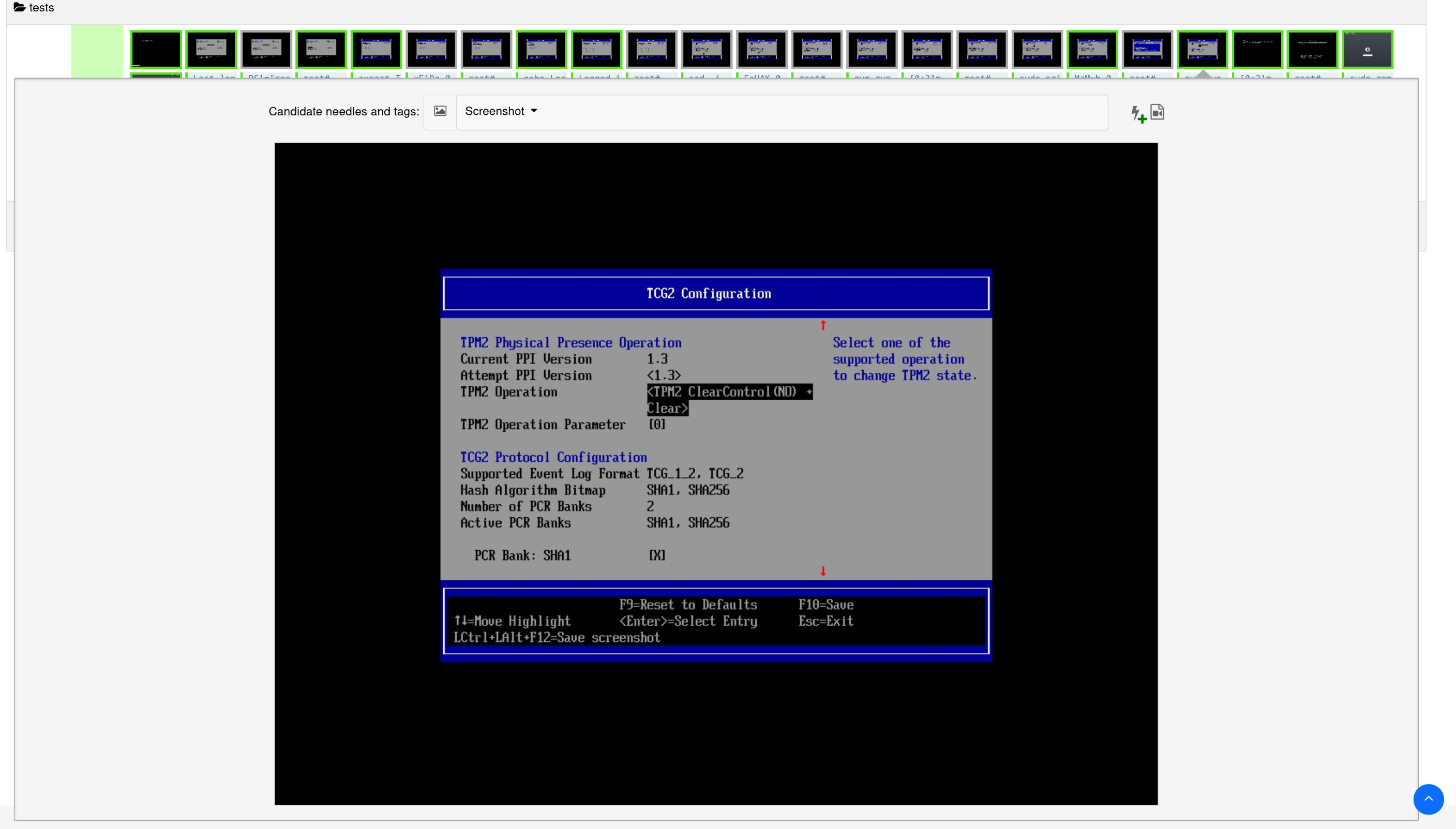 Image of a screenshot needle assert selected